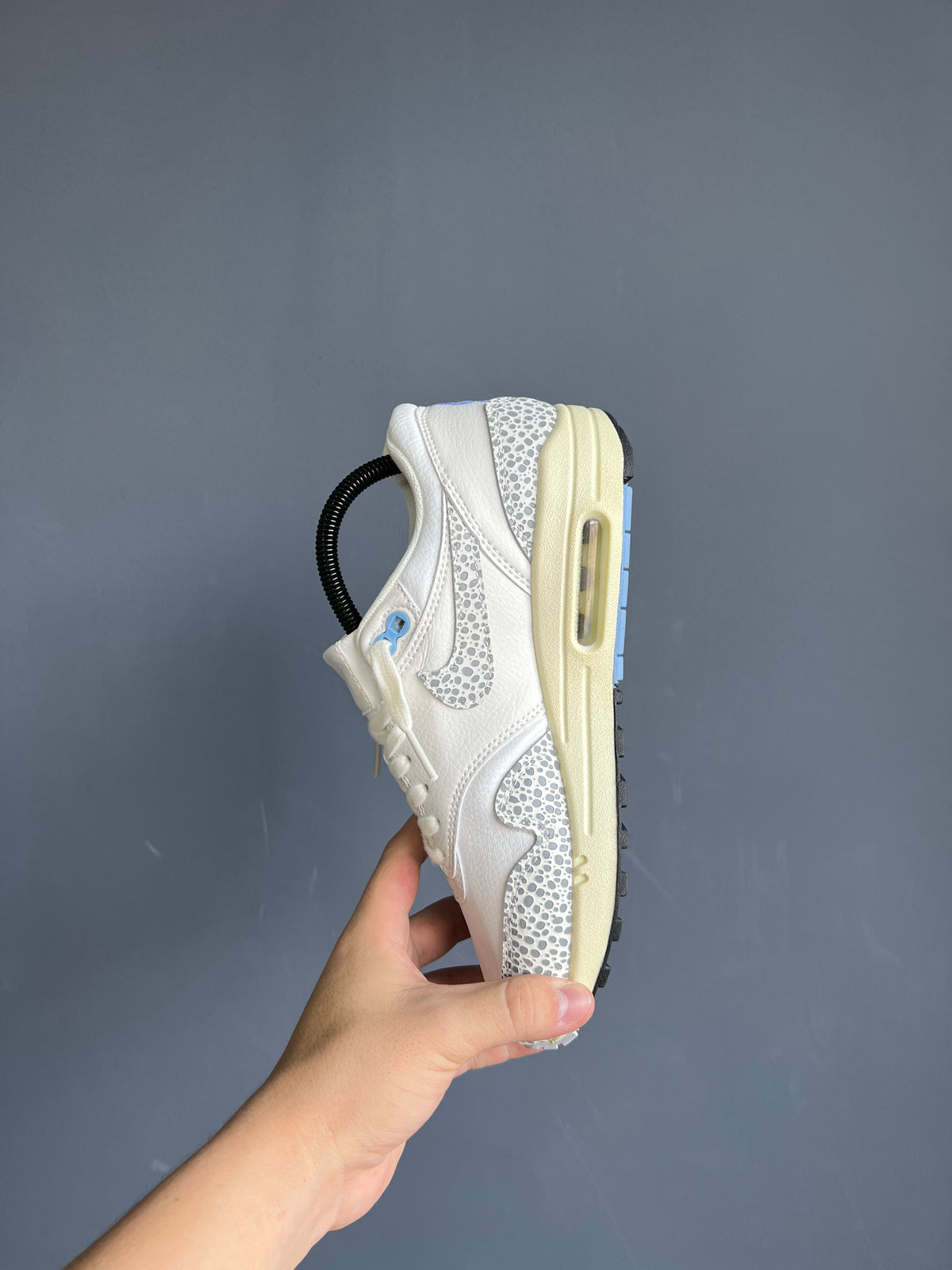 Nike Air Max 1 Safari