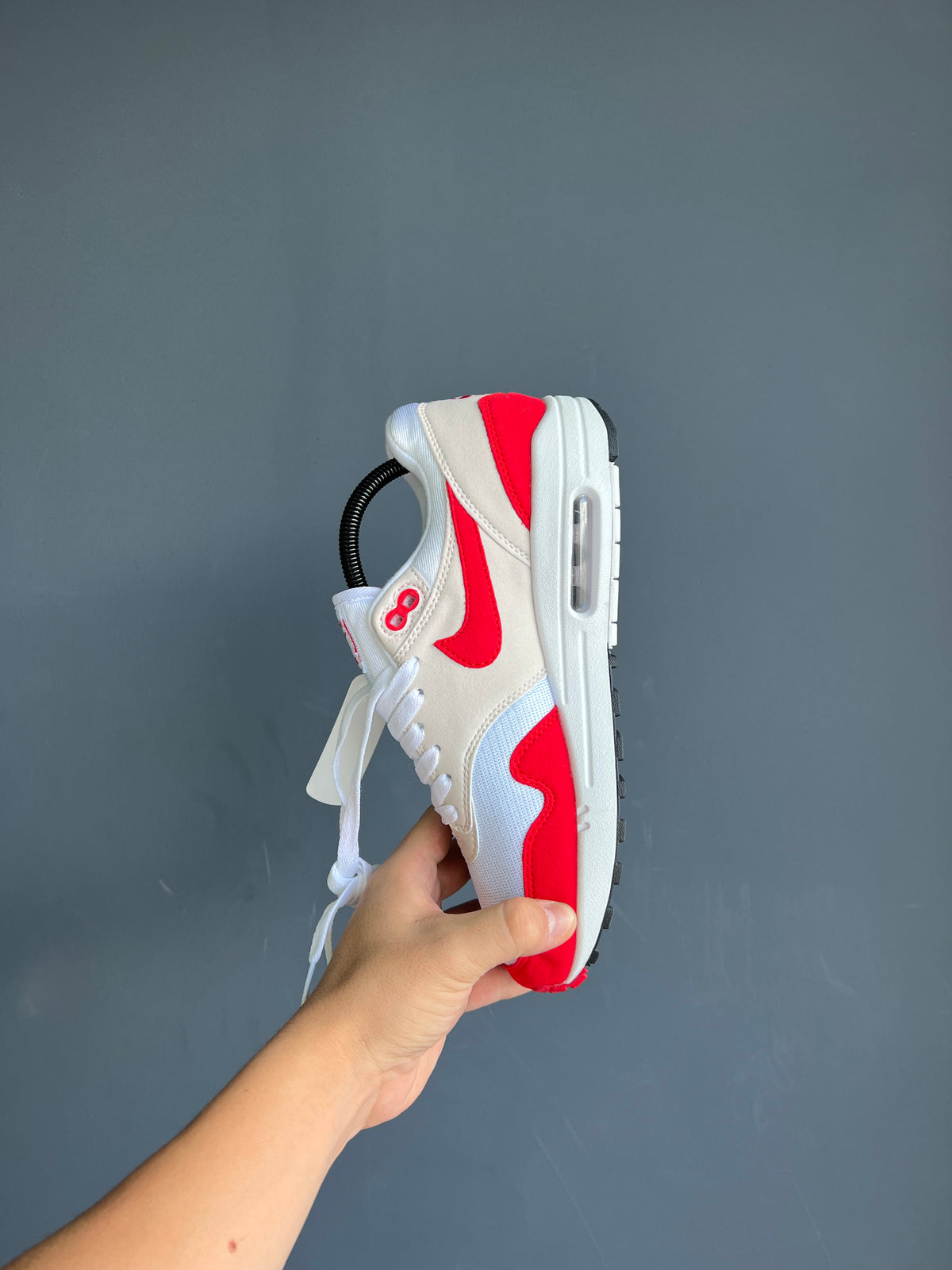 Nike Air Max 1 Anniversary