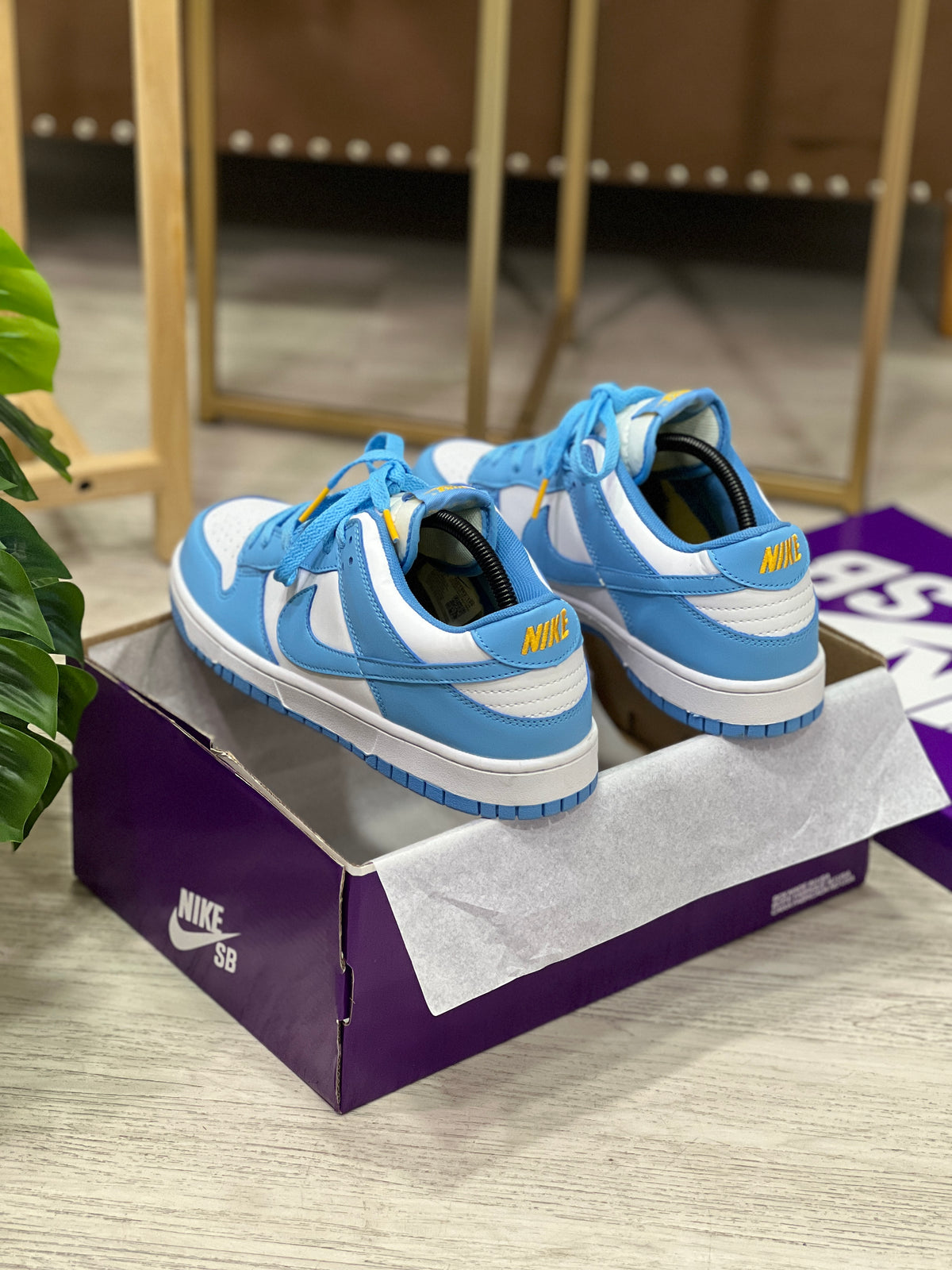Nike Sb Dunk