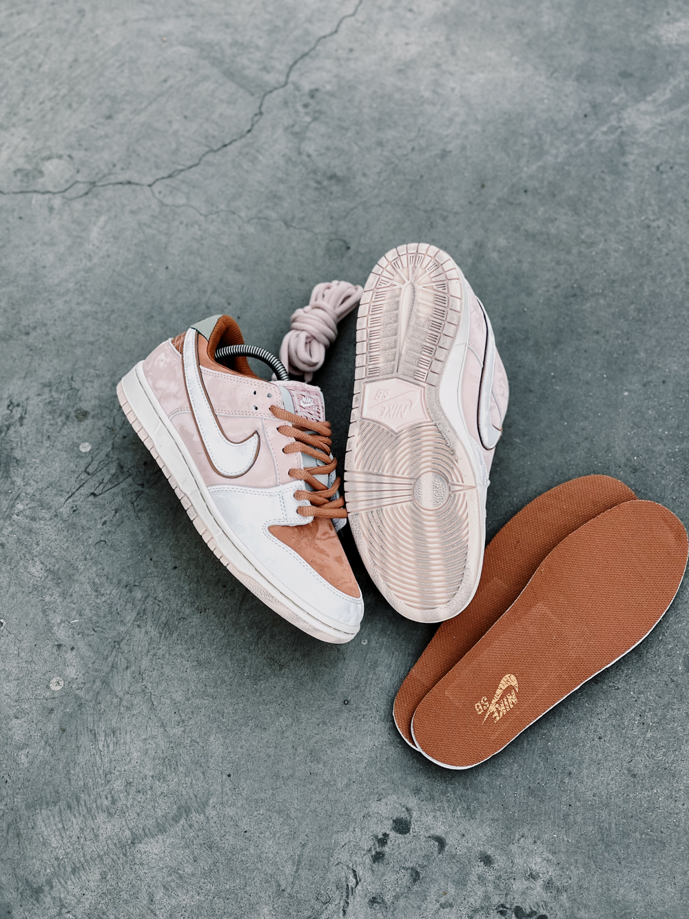 Nike Sb Dunk Low Trocadero Gardens