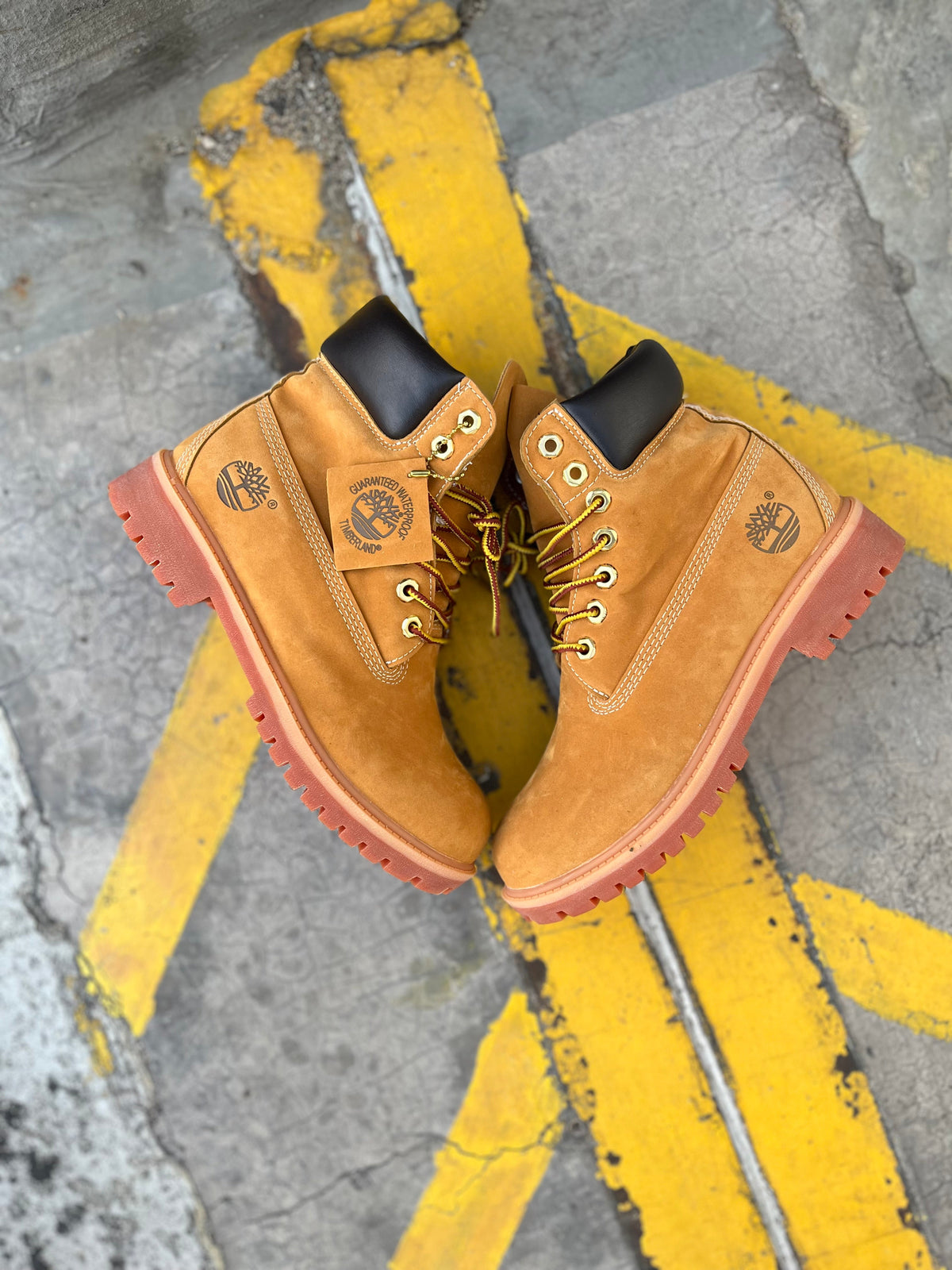 Timberland 6 Inch Premium Boot Wheat Red Sole