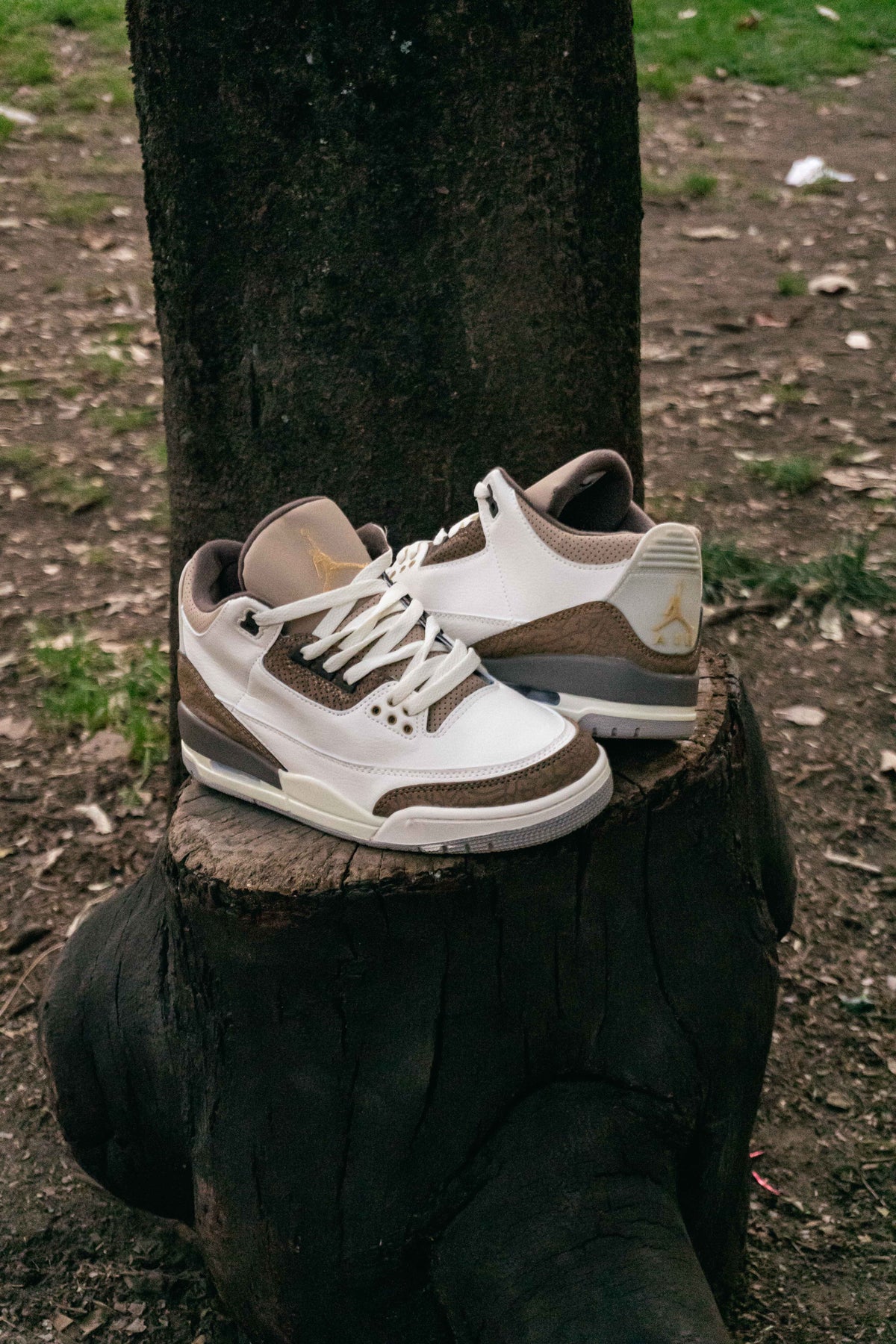 Air Jordan Retro 3 Palomino