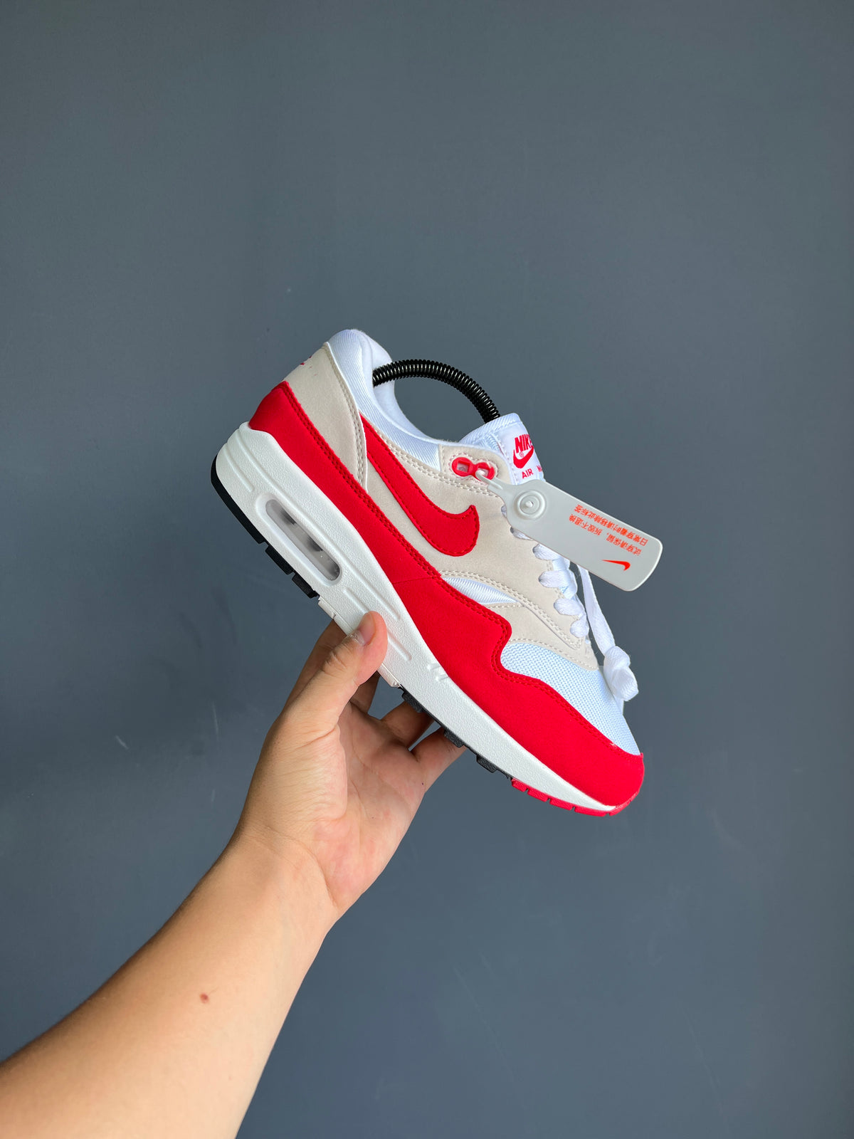Nike Air Max 1 Anniversary