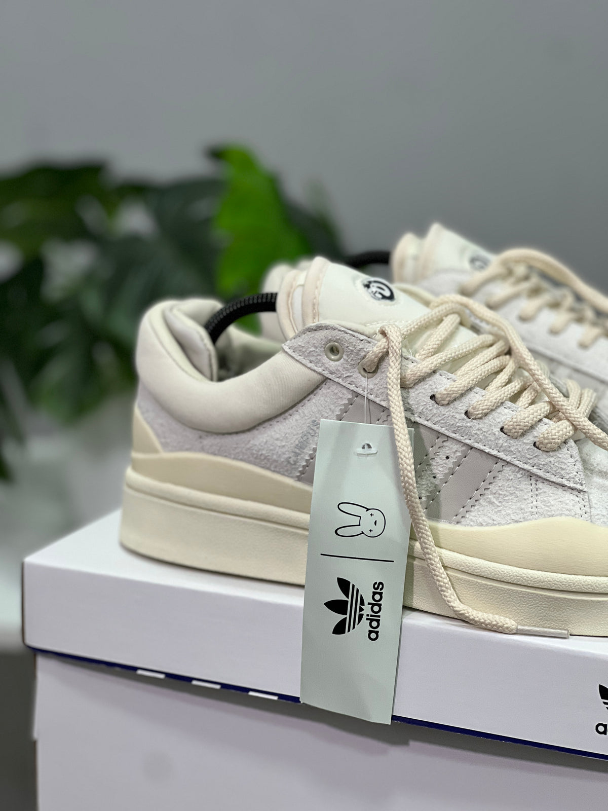Adidas Campus x Bad Bunny