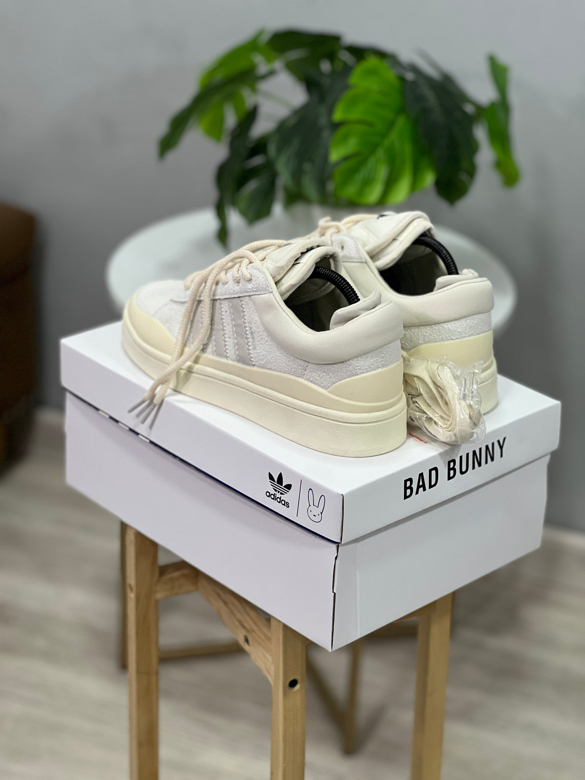 Adidas Campus x Bad Bunny