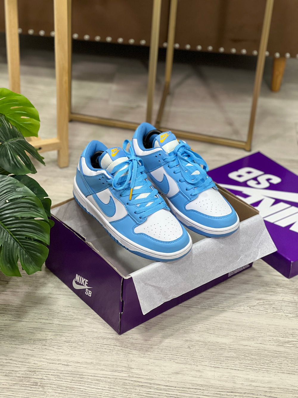 Nike Sb Dunk