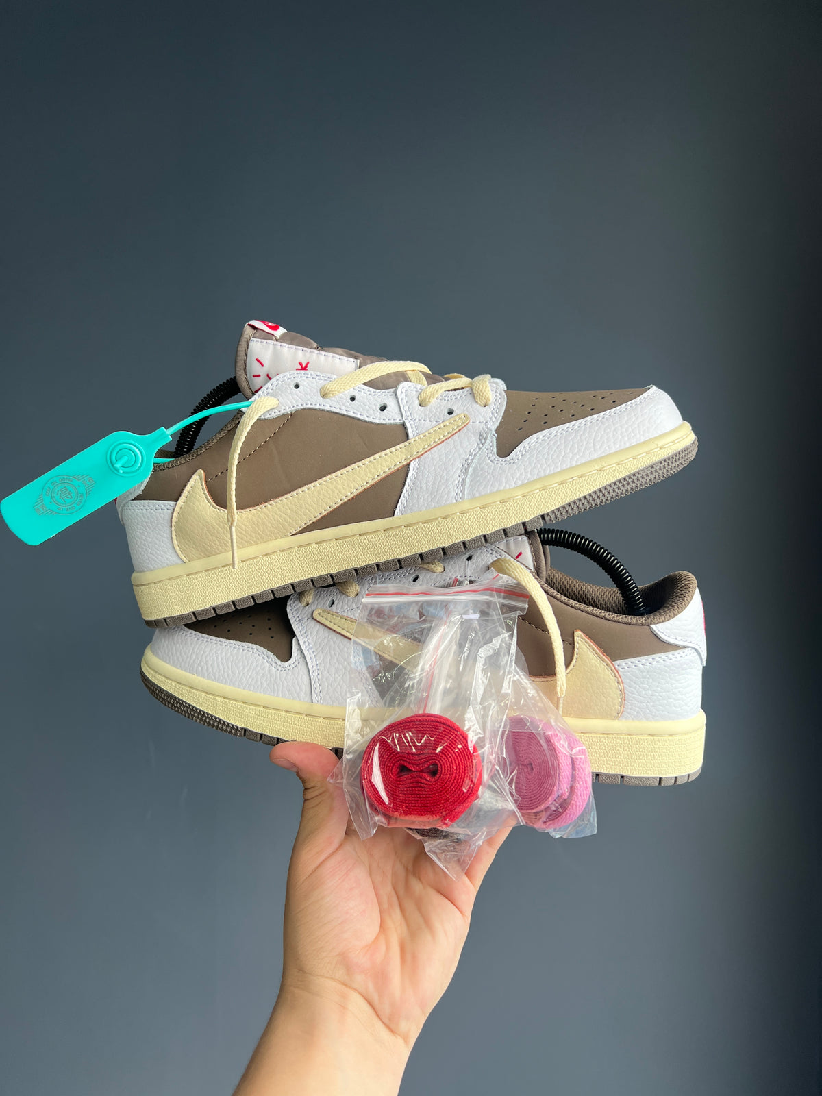 Nike Air Jordan R 1 Low X Travis Scoot