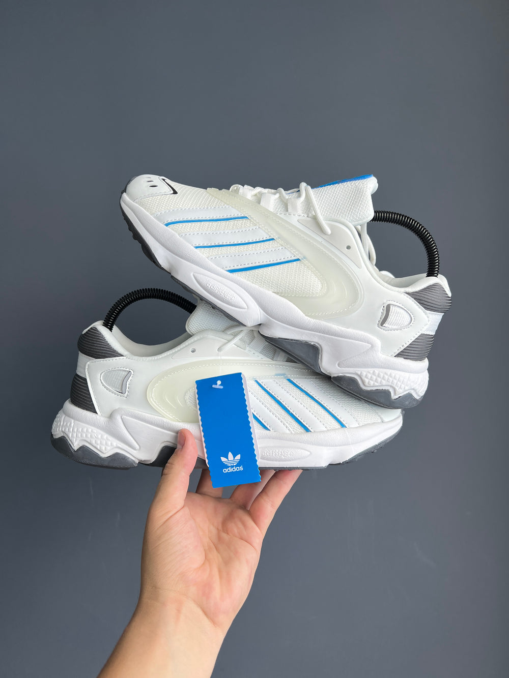 Adidas Originals Oztrail