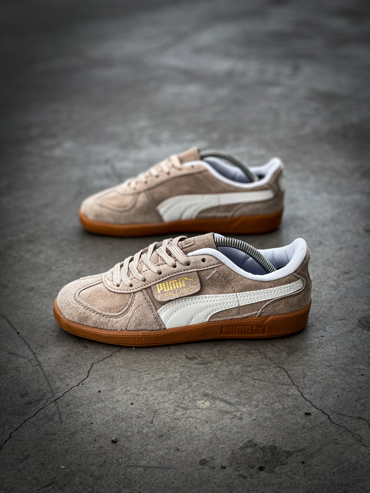 Puma Palermo Alpine Snow