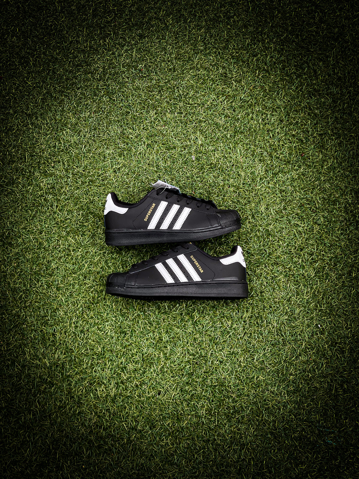 Adidas Superstars