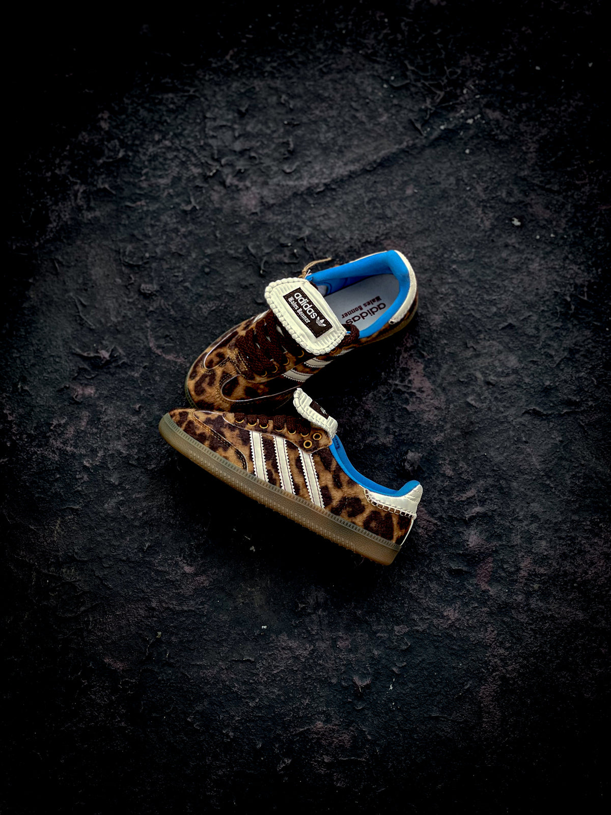 Adidas Samba x Wales Bonner Pony Leo