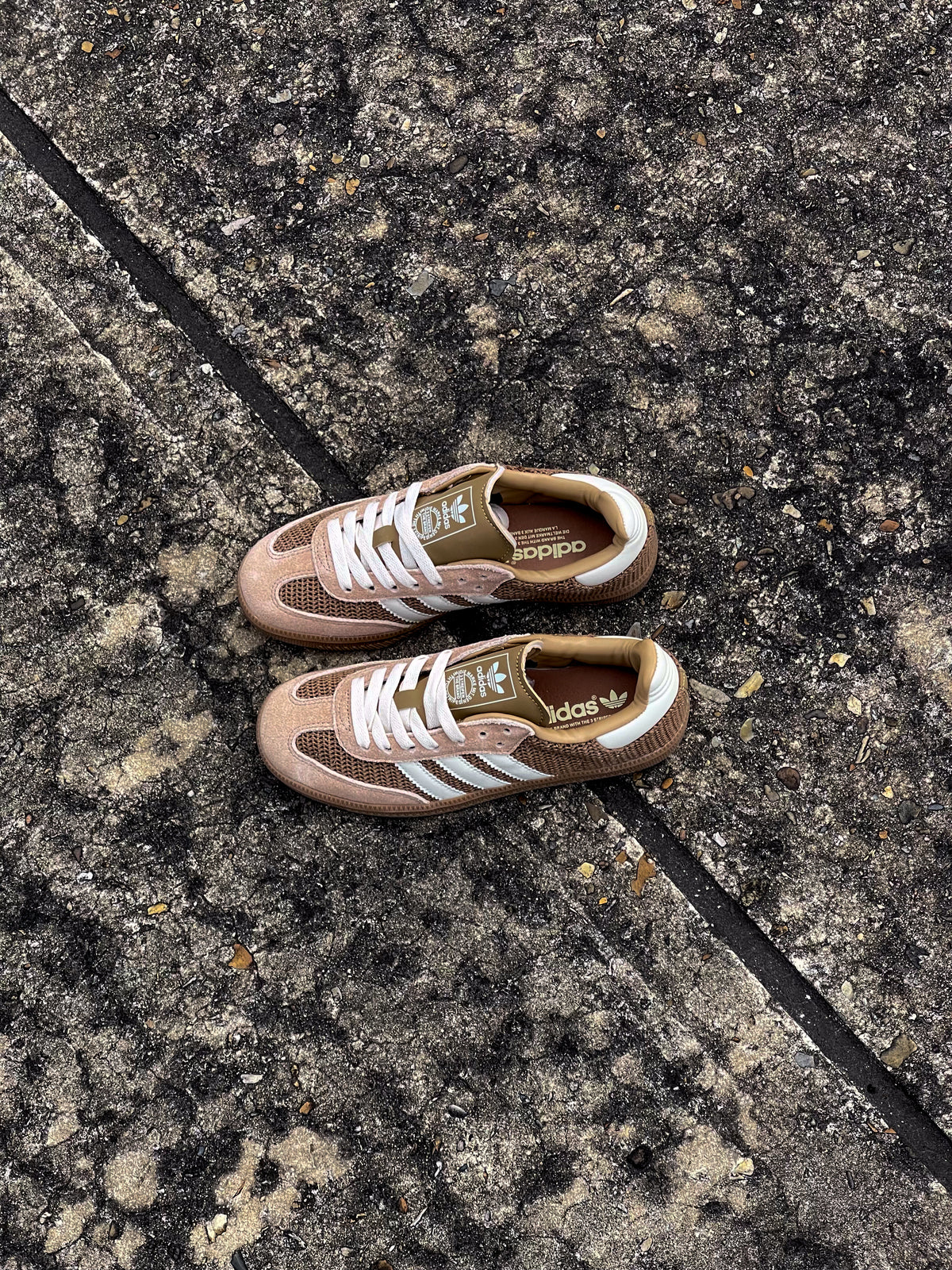 Adidas Samba Cardboard