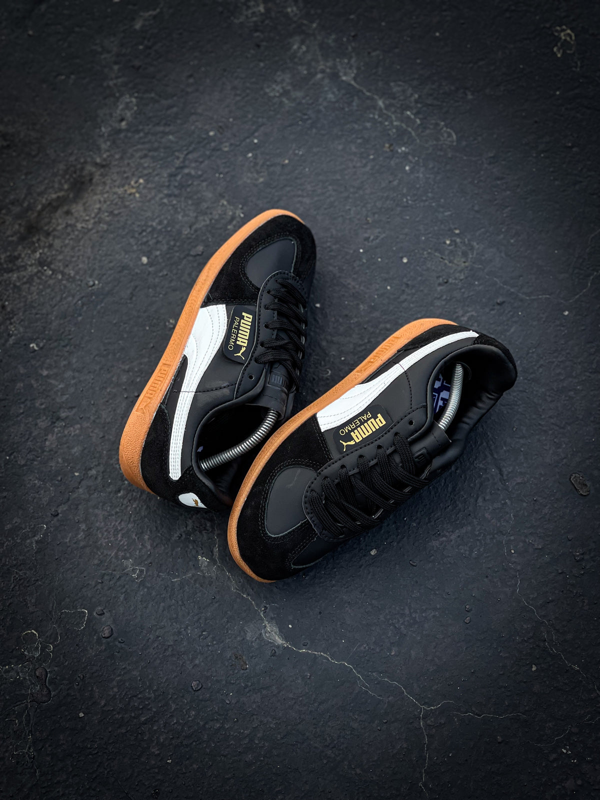 Puma Palermo