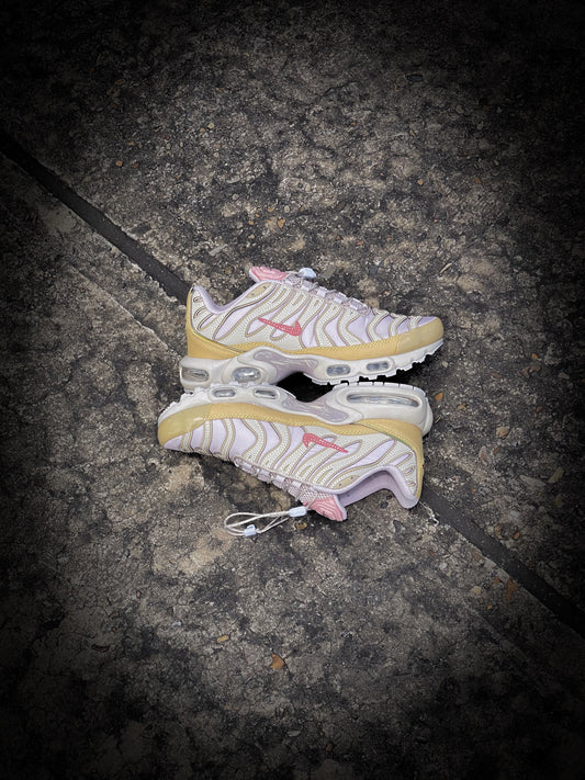Nike Air Max Plus