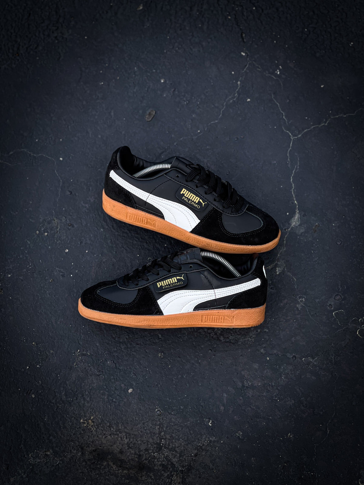 Puma Palermo