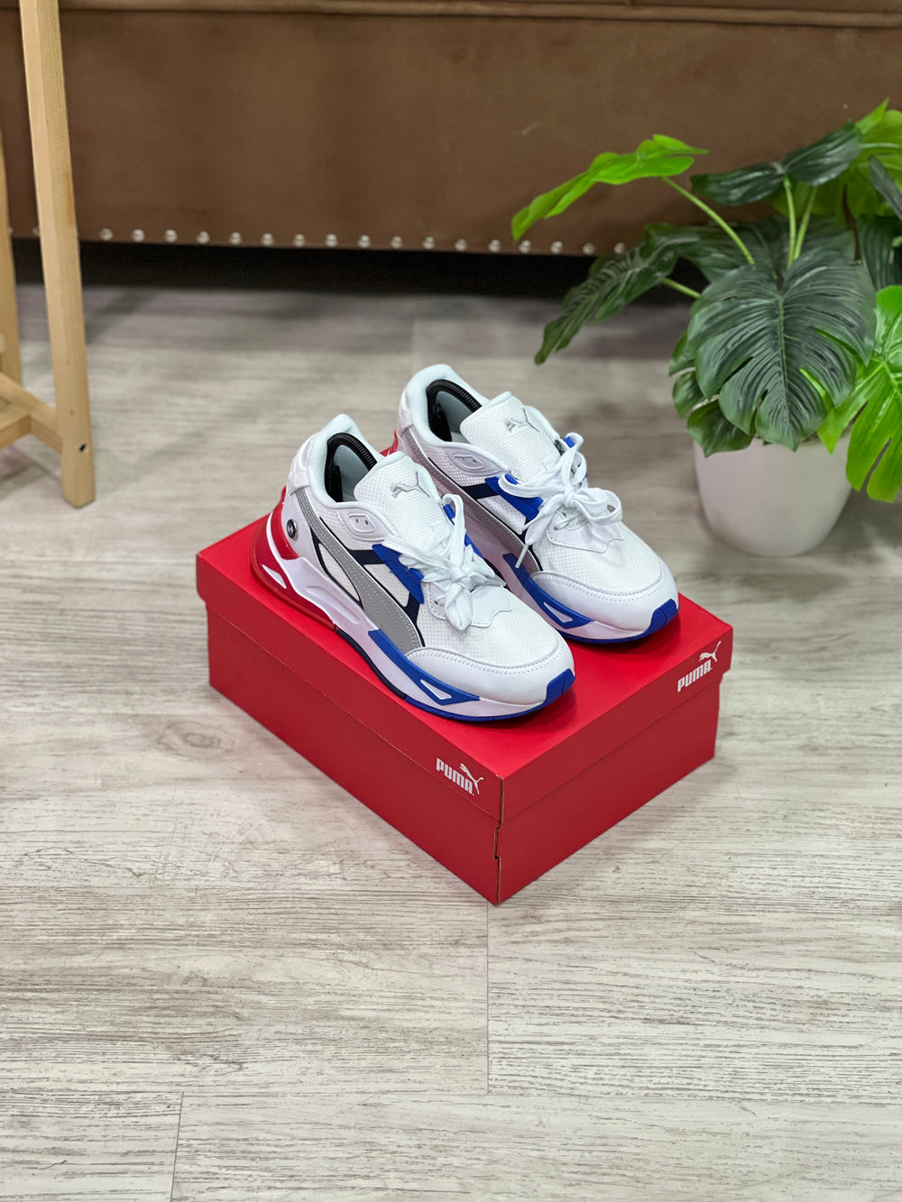 Puma