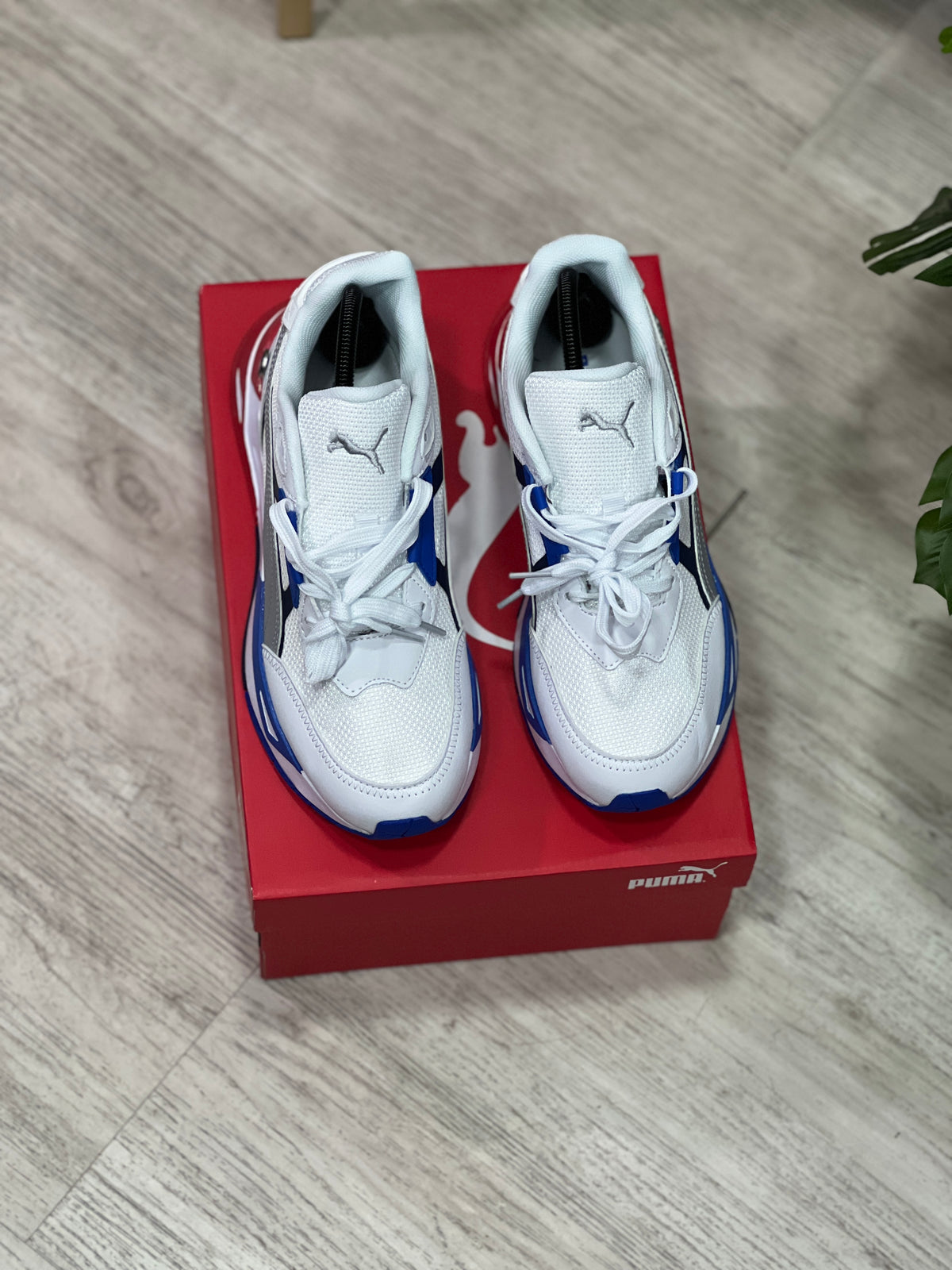 Puma
