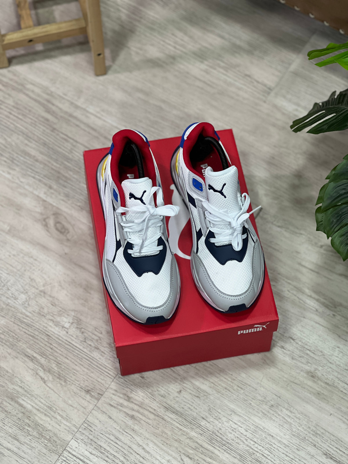 Puma