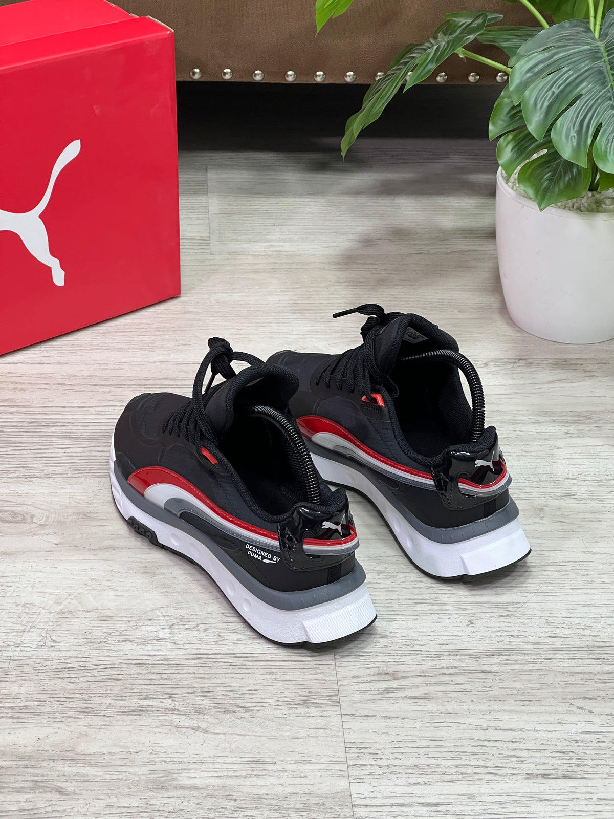 Puma