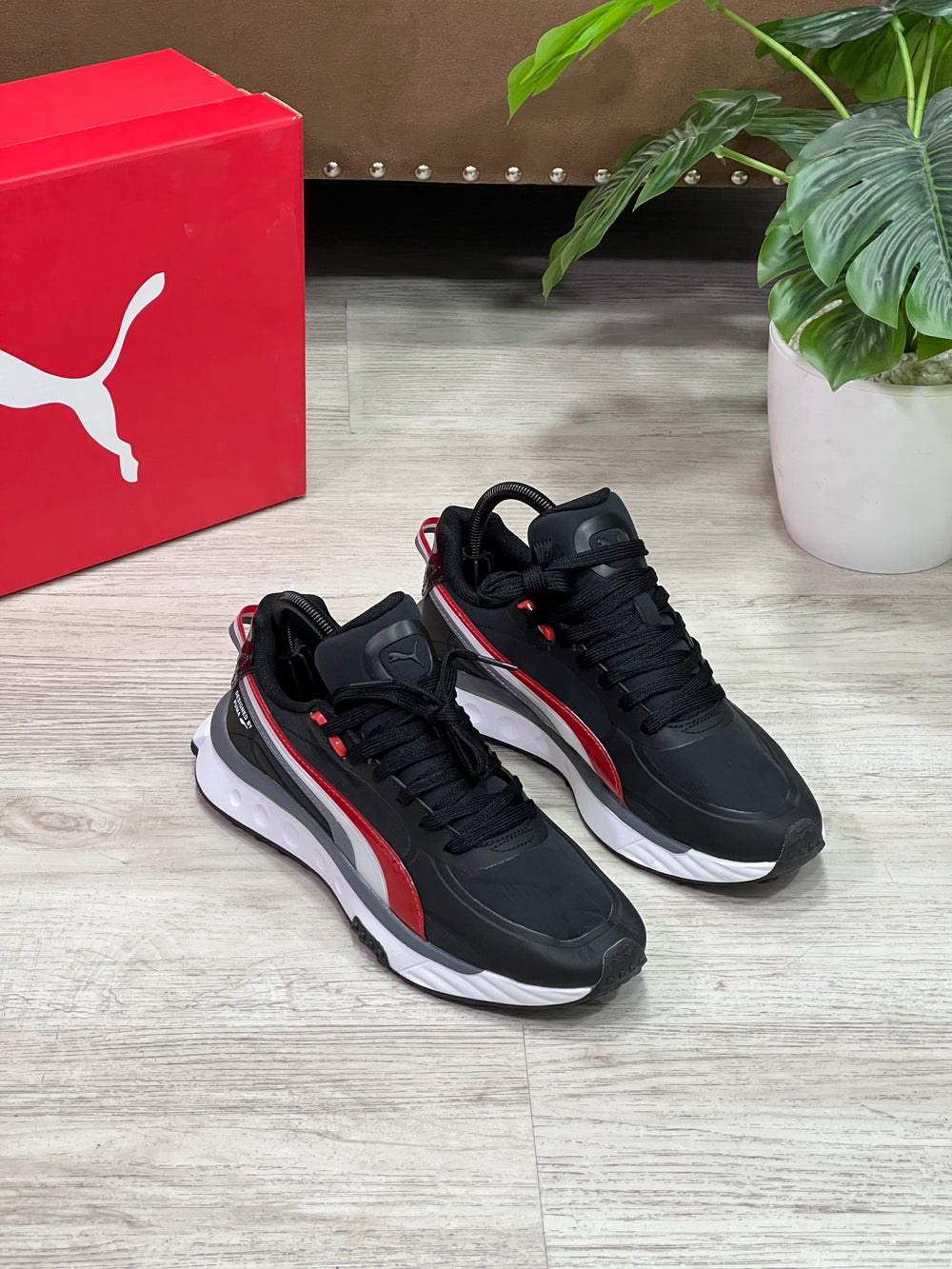 Puma